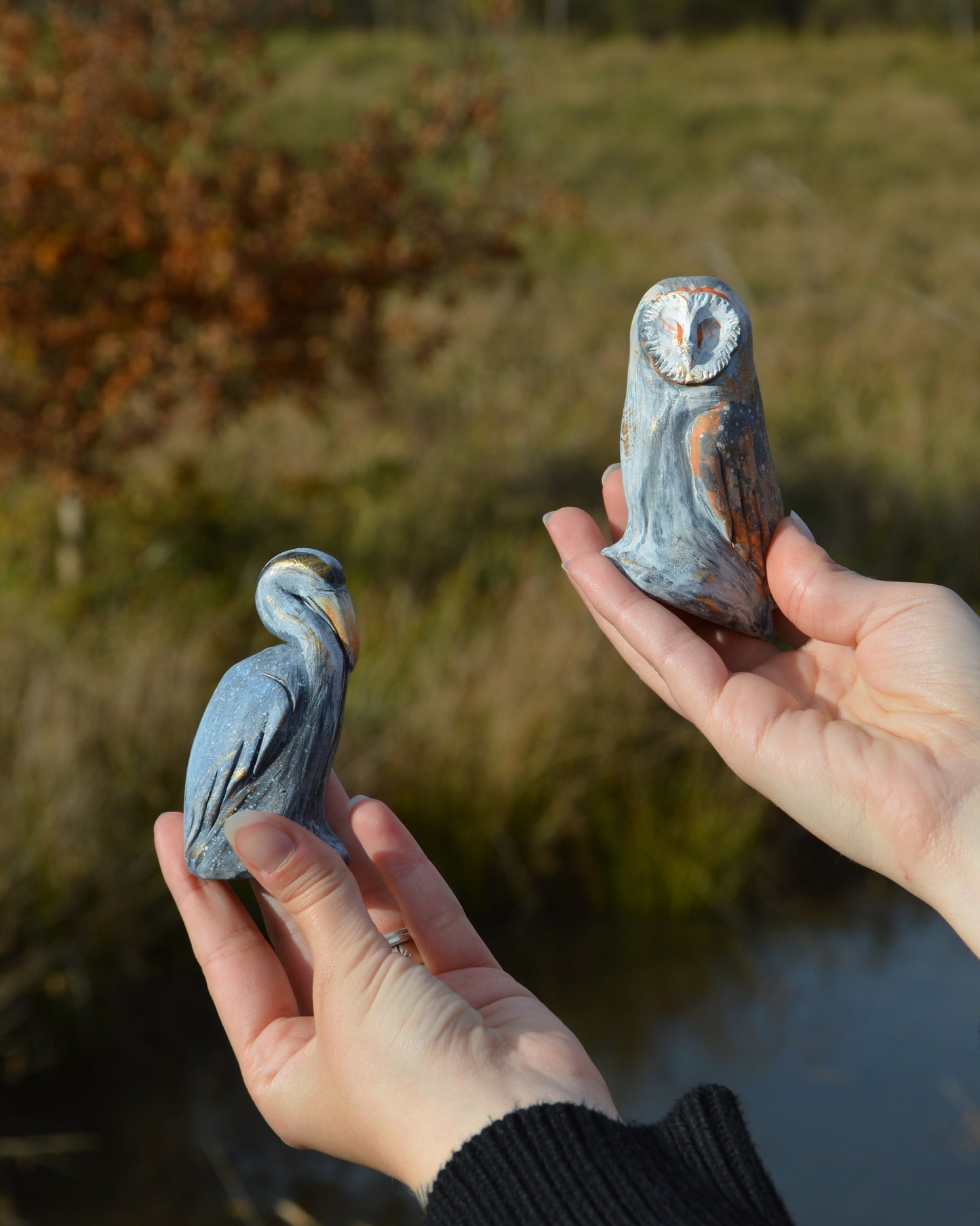Collection « À travers les marais »