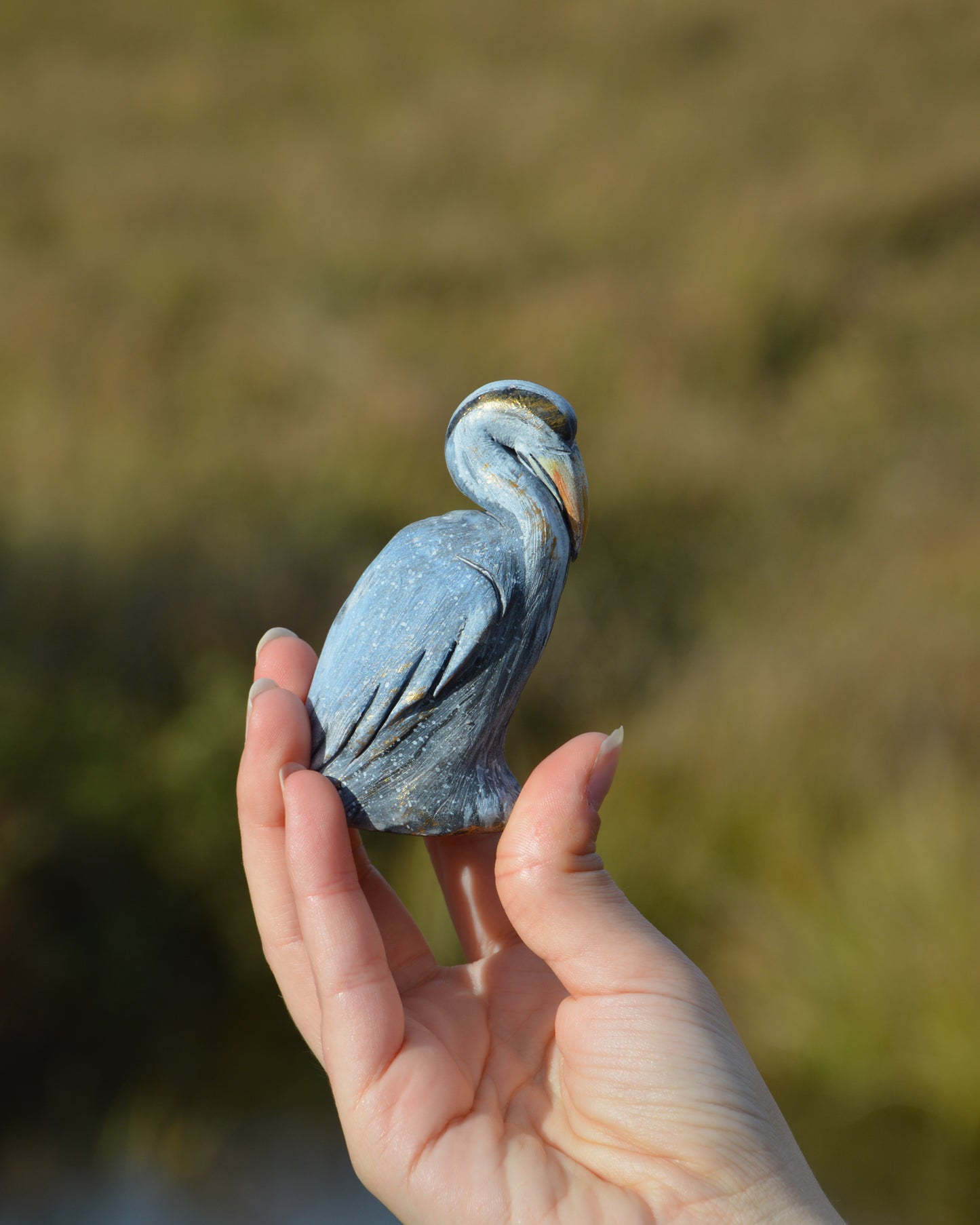 Collection « À travers les marais »
