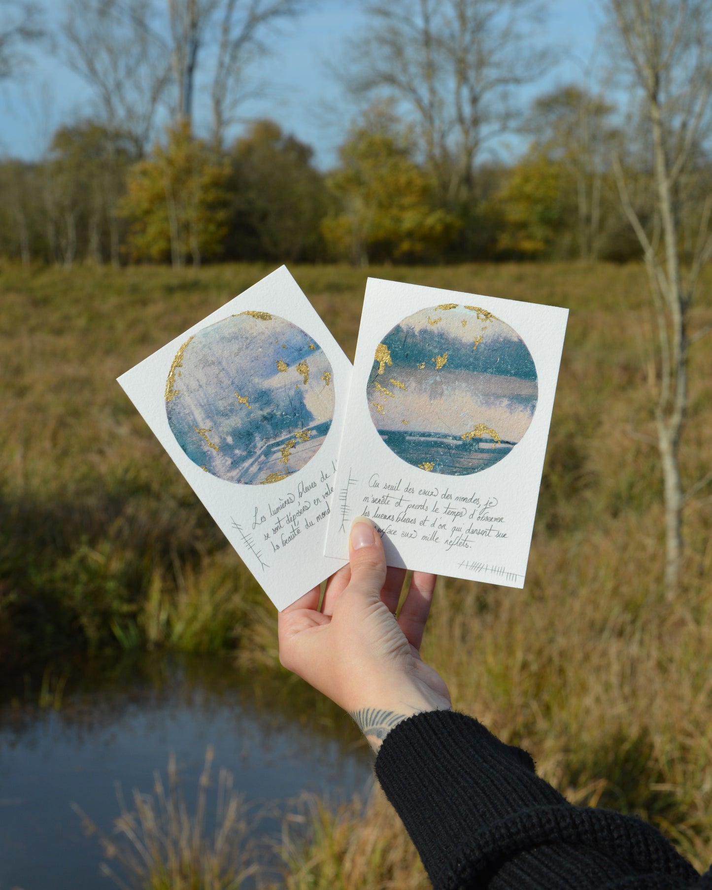 Collection « À travers les marais »