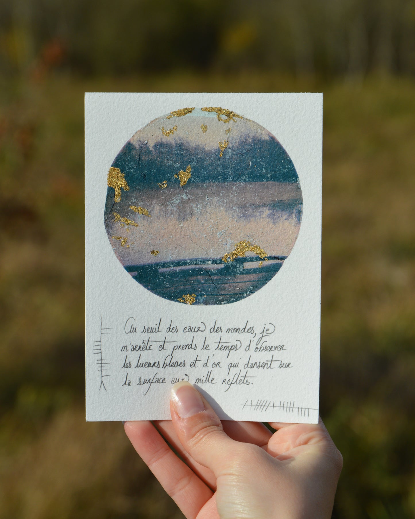 Collection « À travers les marais »