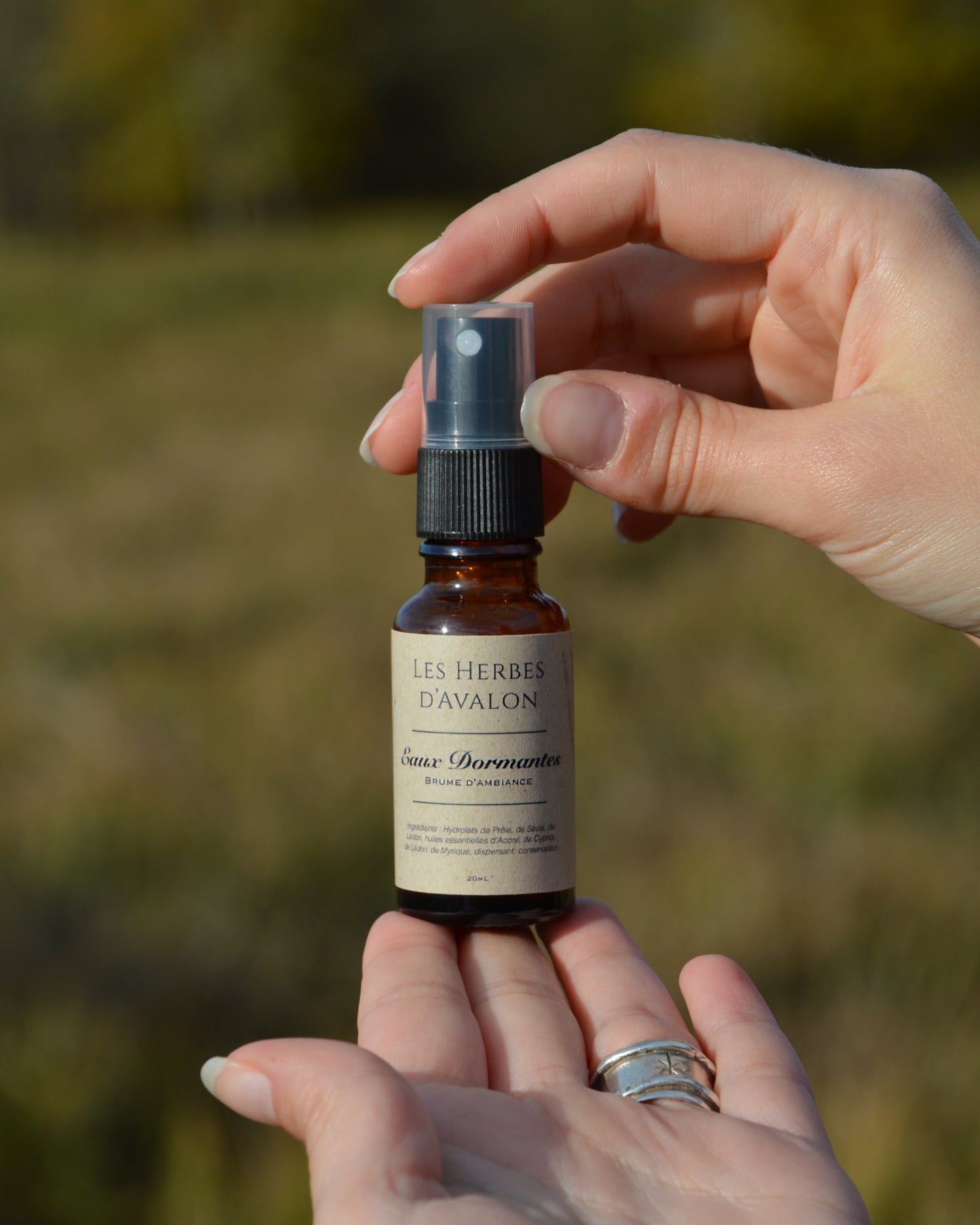 Collection « À travers les marais »