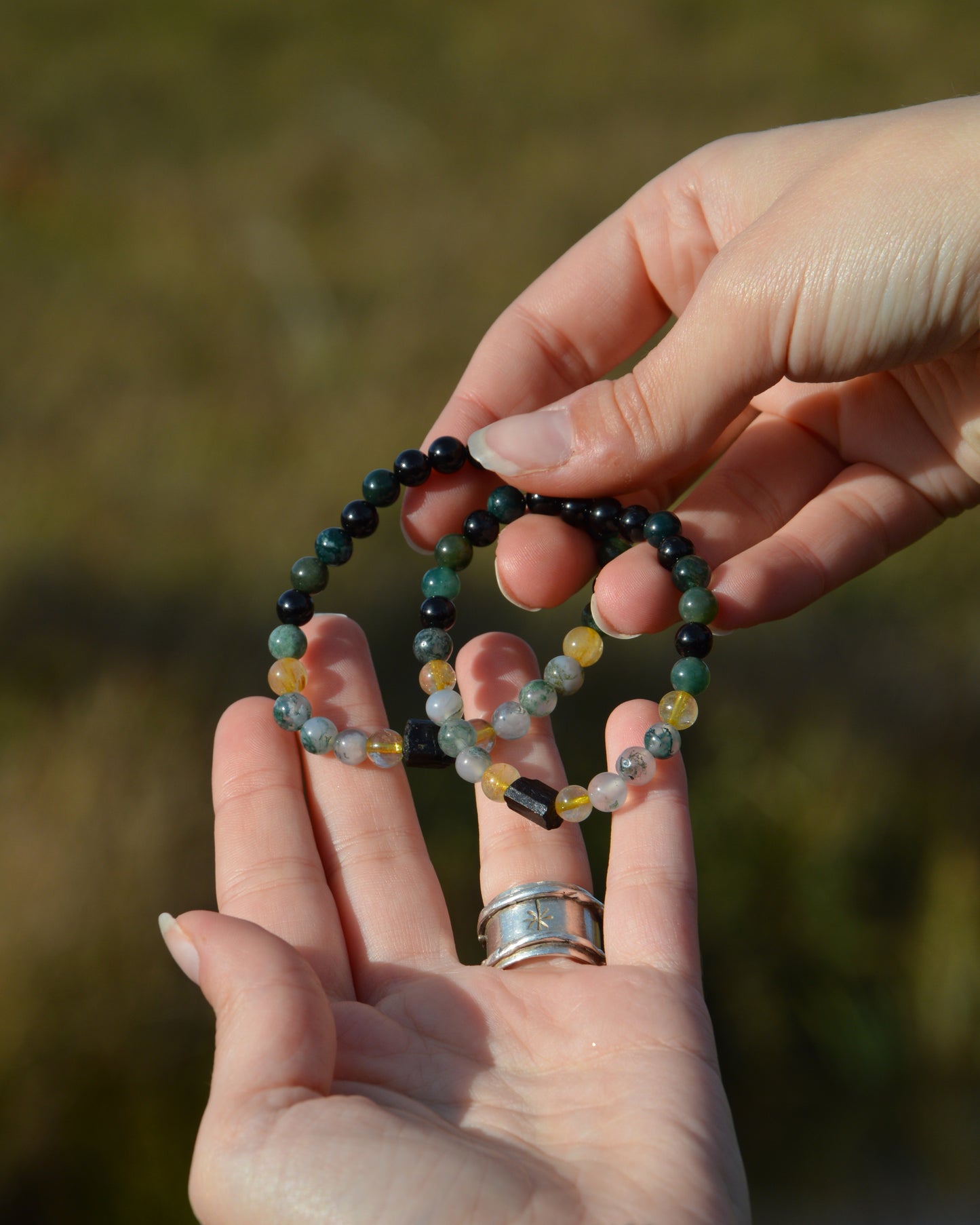 Collection « À travers les marais »