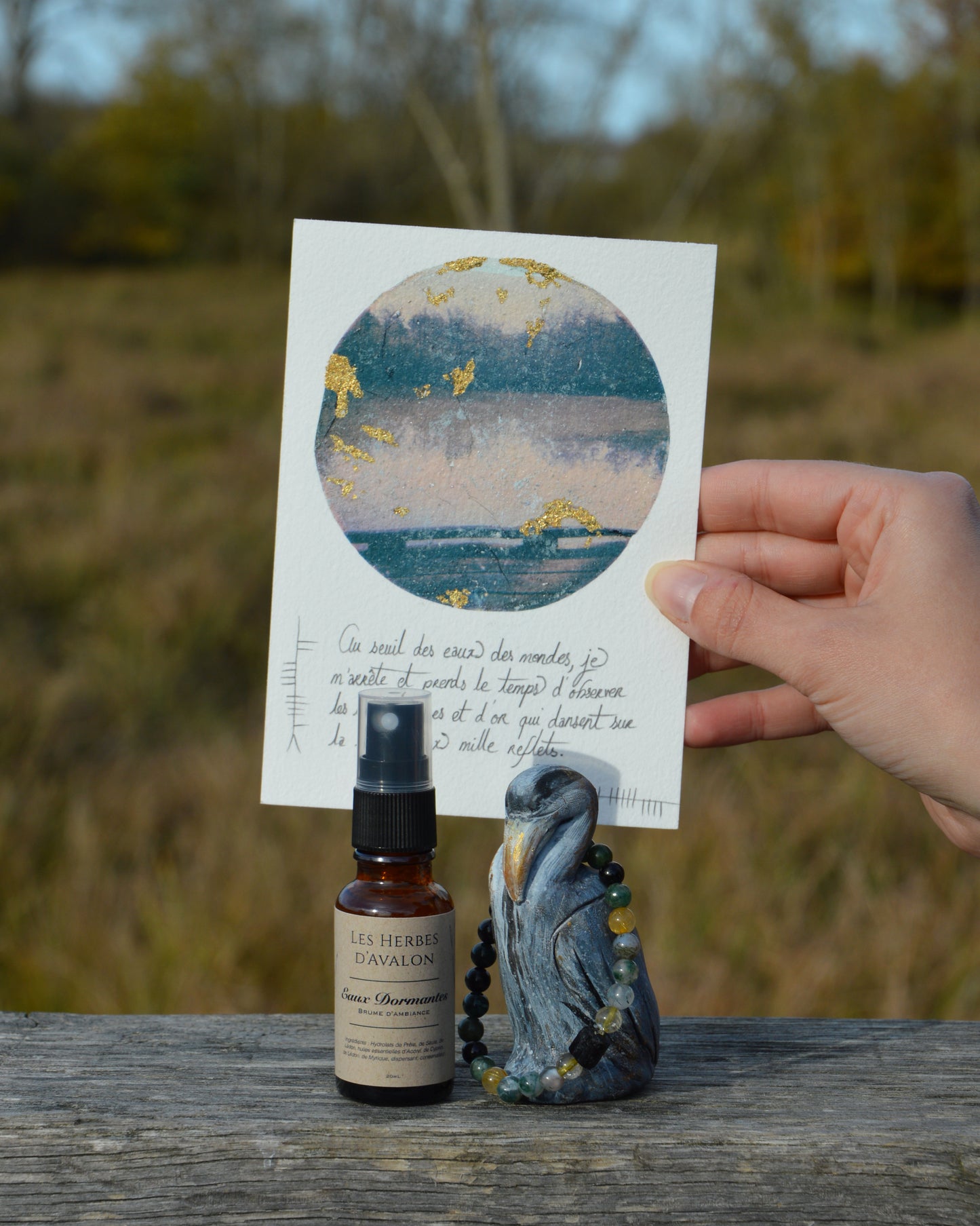 Collection « À travers les marais »